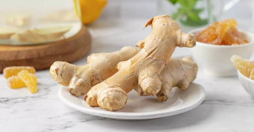 Имбирь, корень долголетия. Рецепты целебных средств из имбиря